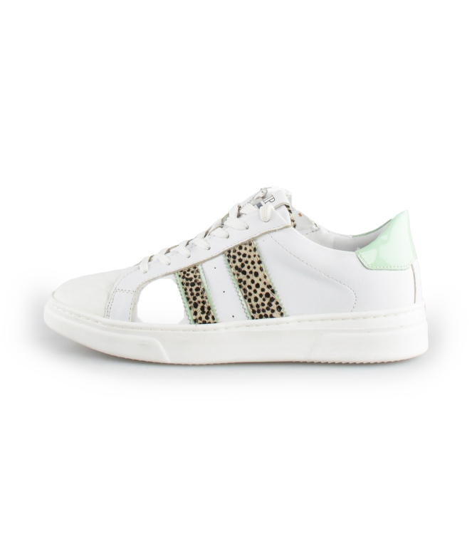 Hip Sneakers