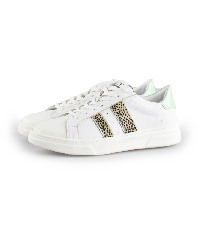 Hip Sneakers