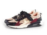 Bluebox Sneakers