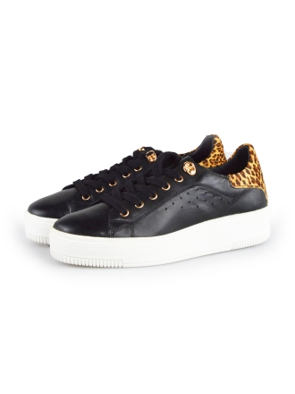  Cellini Sneakers 177779
 [MAAT] 38
 