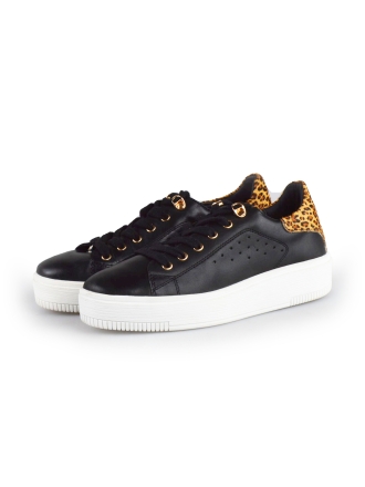  Cellini Sneakers 177787
 [MAAT] 38
 