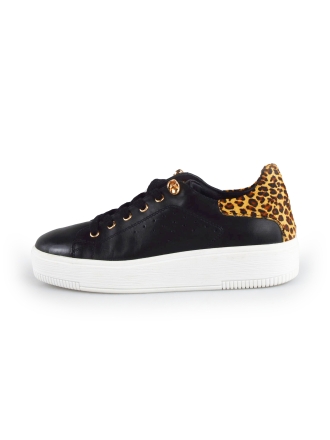  Cellini Sneakers 177788
 [MAAT] 37
 