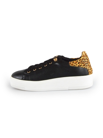  Cellini Sneakers 177789
 [MAAT] 38
 