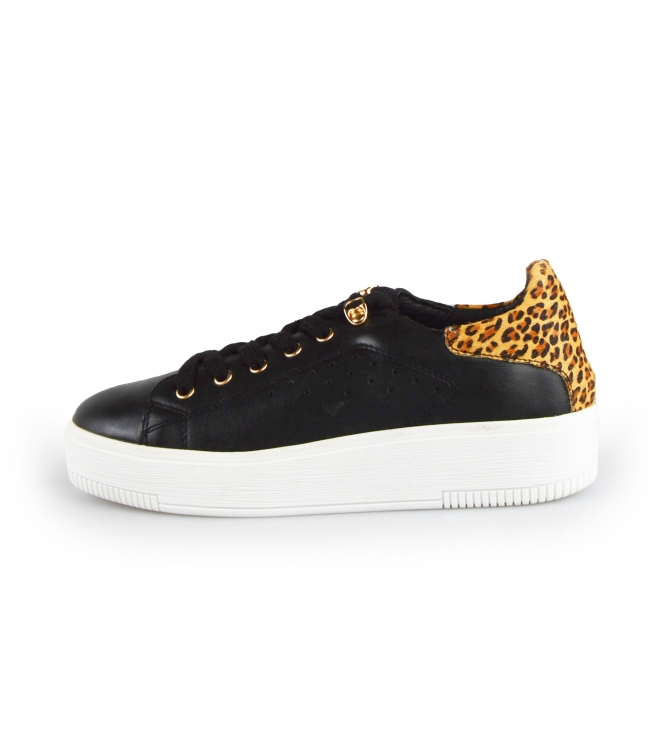 Cellini Sneakers
