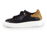 Cellini Sneakers