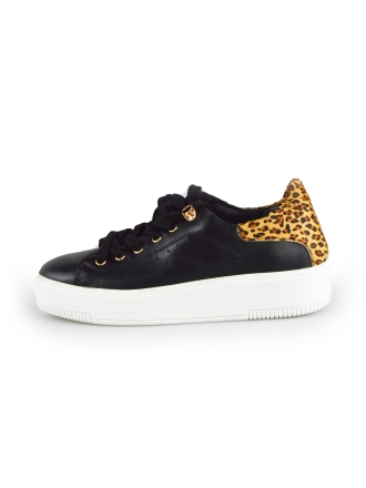  Cellini Sneakers 177790
 [MAAT] 38
 
