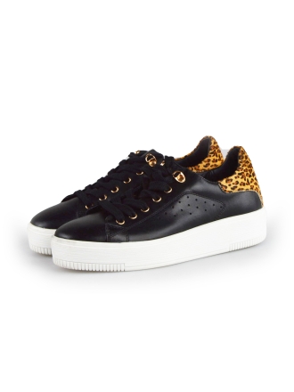  Cellini Sneakers 177790
 [MAAT] 38
 