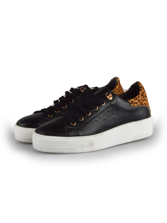  Cellini Sneakers 177806
 [MAAT] 38
 