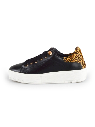  Cellini Sneakers 177823
 [MAAT] 38
 