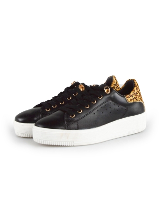  Cellini Sneakers 177823
 [MAAT] 38
 