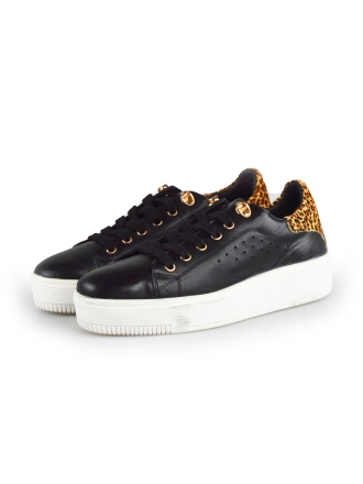  Cellini Sneakers 177825
 [MAAT] 38
 