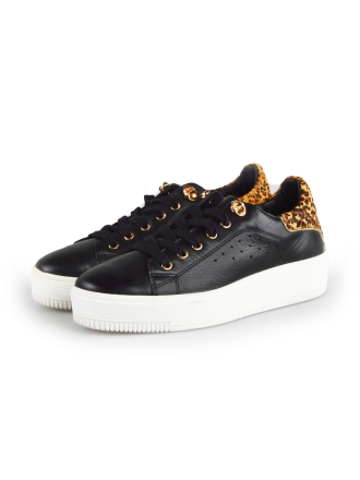  Cellini Sneakers 177826
 [MAAT] 38
 
