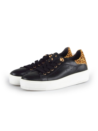  Cellini Sneakers 178022
 [MAAT] 38
 