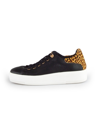 Cellini Sneakers 178023
 [MAAT] 37
 