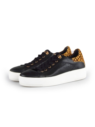  Cellini Sneakers 178023
 [MAAT] 37
 