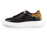 Cellini Sneakers