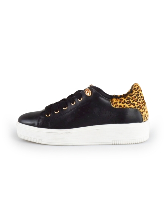  Cellini Sneakers 178025
 [MAAT] 38
 