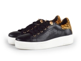 Cellini Sneakers