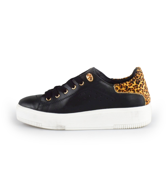 Cellini Sneakers