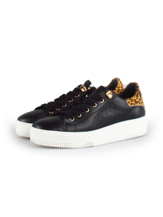  Cellini Sneakers 178026
 [MAAT] 38
 