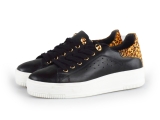 Cellini Sneakers