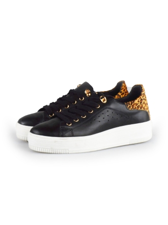  Cellini Sneakers 178027
 [MAAT] 38
 