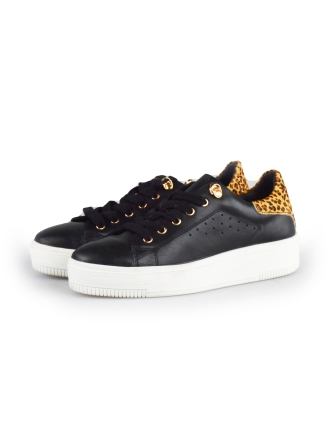  Cellini Sneakers 178029
 [MAAT] 38
 