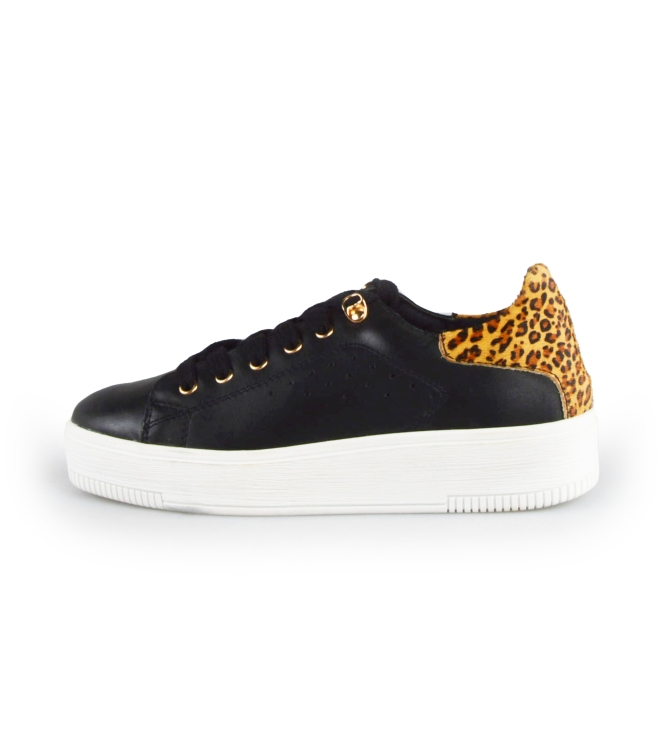 Cellini Sneakers