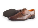 Reinhard Frans Nette Schoenen