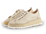 Dstrct Sneakers