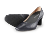 Nelson Pumps