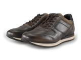 Greve Sneakers