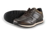 Greve Sneakers