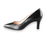Lodi Pumps