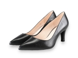 Lodi Pumps