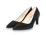 Lodi Pumps