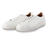 Steve Madden Sneakers