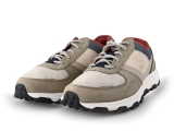 Timberland Sneakers