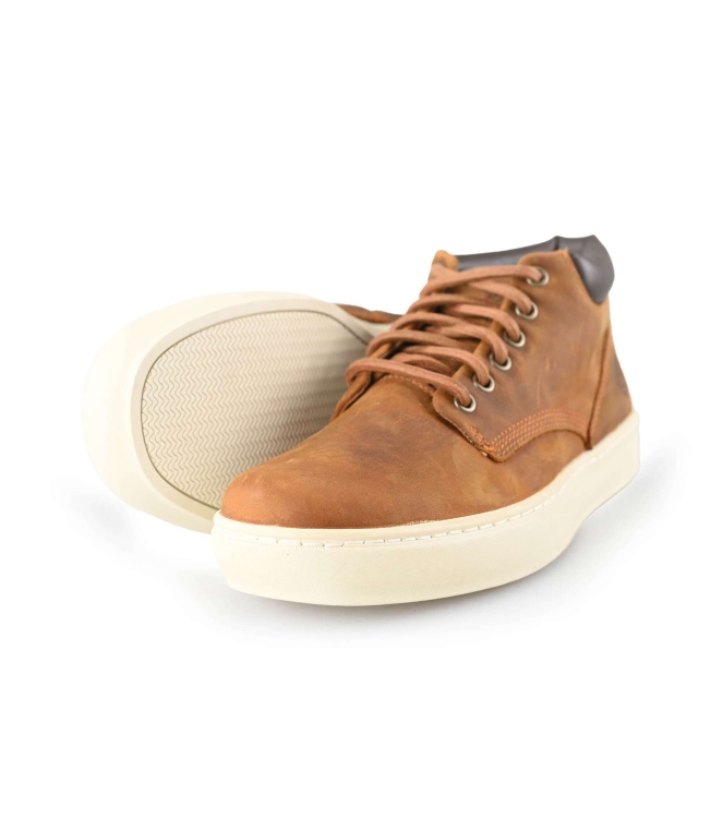 Timberland Sneakers
