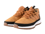 Timberland Sneakers