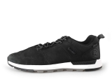 Timberland Sneakers