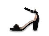 Nelson Pumps