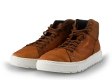 Hundred Sneakers