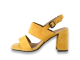 Notre-V Pumps