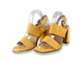 Notre-V Pumps