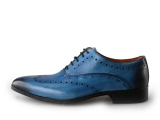 Reinhard Frans Nette Schoenen
