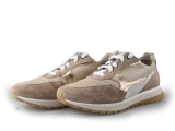 Gabor Sneakers
