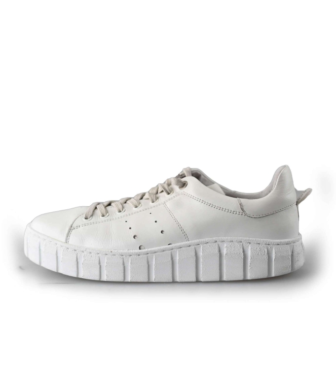 Tango Sneakers