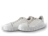 Tango Sneakers