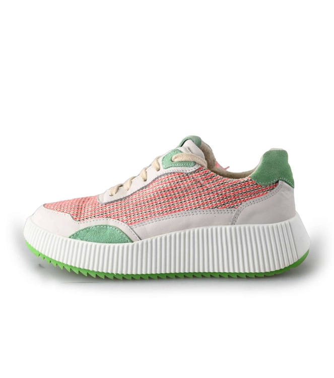 Palpa Sneakers